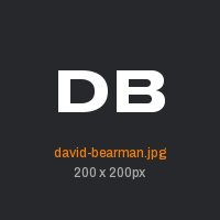 David Bearman